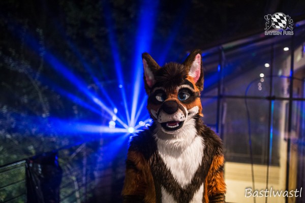 CGC2 0147 von Bastlwastl CGC2 0147 von Bastlwastl