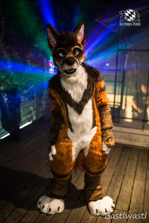 CGC2 0151 von Bastlwastl CGC2 0151 von Bastlwastl