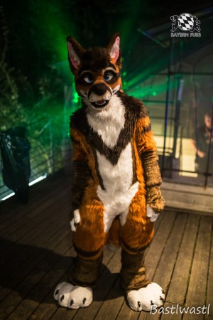 CGC2 0152 von Bastlwastl CGC2 0152 von Bastlwastl