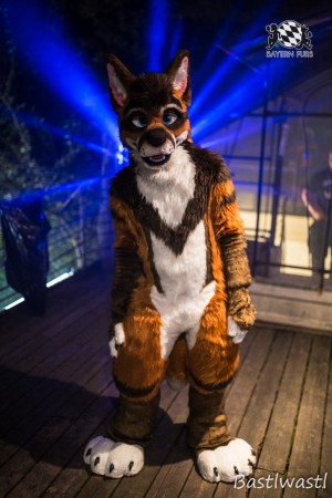 CGC2 0153 von Bastlwastl CGC2 0153 von Bastlwastl