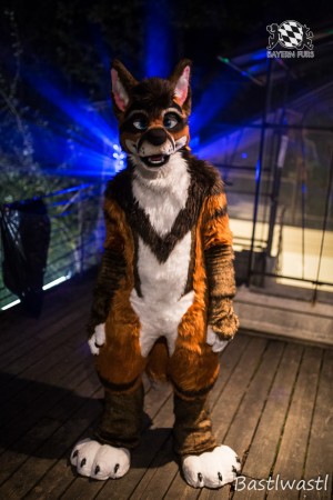 CGC2 0154 von Bastlwastl CGC2 0154 von Bastlwastl