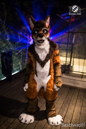 CGC2 0155 von Bastlwastl CGC2 0155 von Bastlwastl