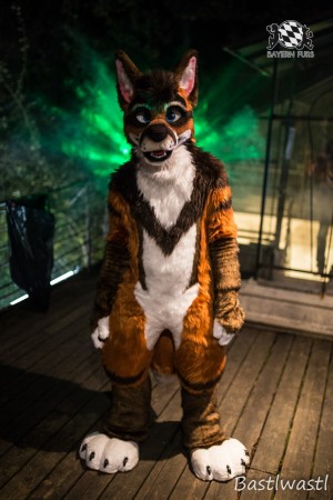 CGC2 0158 von Bastlwastl CGC2 0158 von Bastlwastl