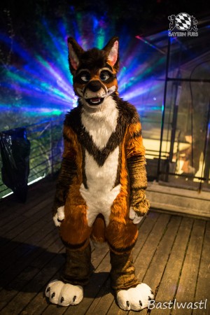 CGC2 0160 von Bastlwastl CGC2 0160 von Bastlwastl