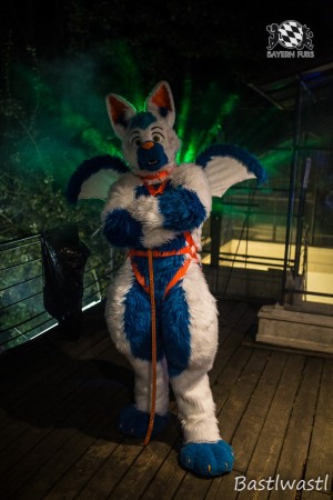 CGC2 0182 von Bastlwastl CGC2 0182 von Bastlwastl