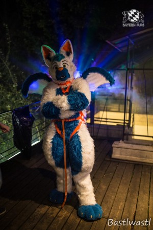 CGC2 0185 von Bastlwastl CGC2 0185 von Bastlwastl