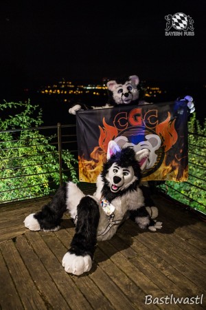 CGC2 0254 von Bastlwastl CGC2 0254 von Bastlwastl