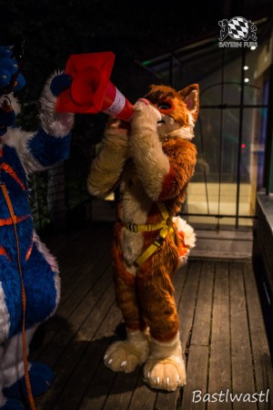 CGC2 0279 von Bastlwastl CGC2 0279 von Bastlwastl