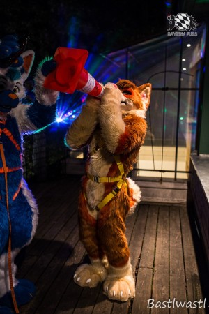 CGC2 0280 von Bastlwastl CGC2 0280 von Bastlwastl