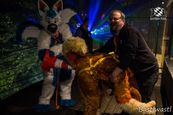 CGC2 0290 von Bastlwastl CGC2 0290 von Bastlwastl