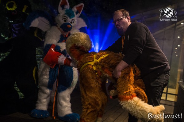 CGC2 0292 von Bastlwastl CGC2 0292 von Bastlwastl