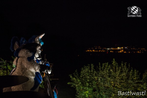 CGC2 0340 von Bastlwastl CGC2 0340 von Bastlwastl