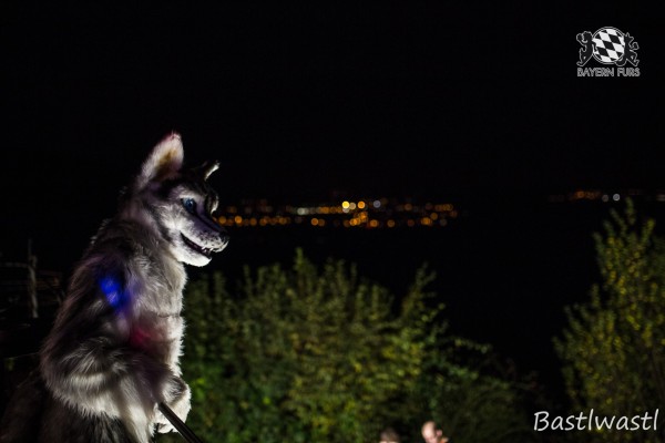 CGC2 0342 von Bastlwastl CGC2 0342 von Bastlwastl