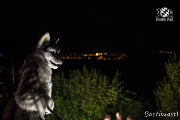 CGC2 0343 von Bastlwastl CGC2 0343 von Bastlwastl