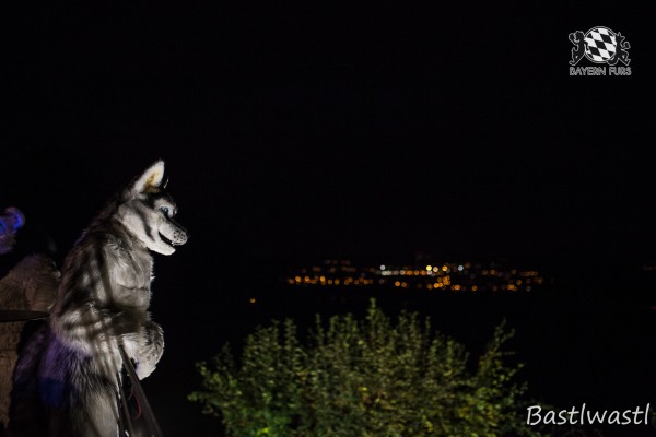 CGC2 0344 von Bastlwastl CGC2 0344 von Bastlwastl