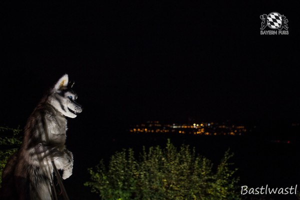 CGC2 0345 von Bastlwastl CGC2 0345 von Bastlwastl