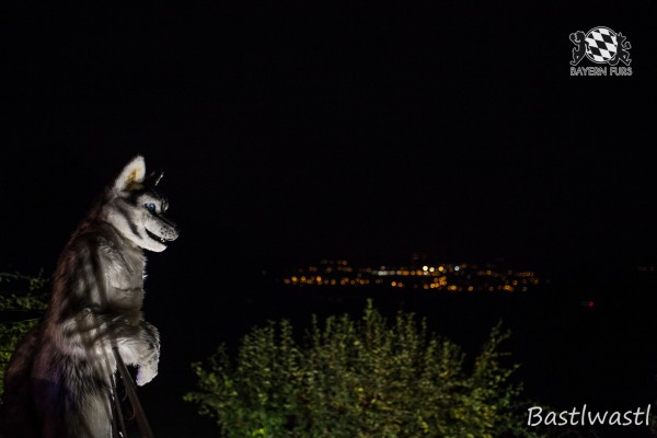 CGC2 0346 von Bastlwastl CGC2 0346 von Bastlwastl