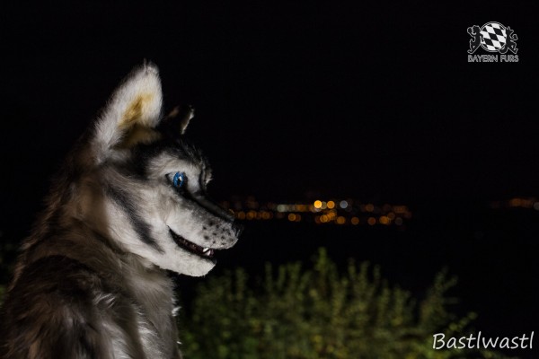 CGC2 0347 von Bastlwastl CGC2 0347 von Bastlwastl