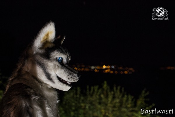 CGC2 0348 von Bastlwastl CGC2 0348 von Bastlwastl