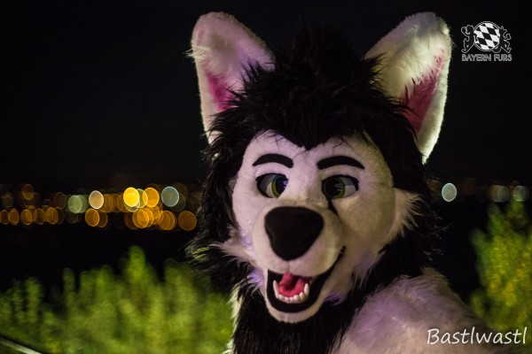 CGC2 0362 von Bastlwastl CGC2 0362 von Bastlwastl