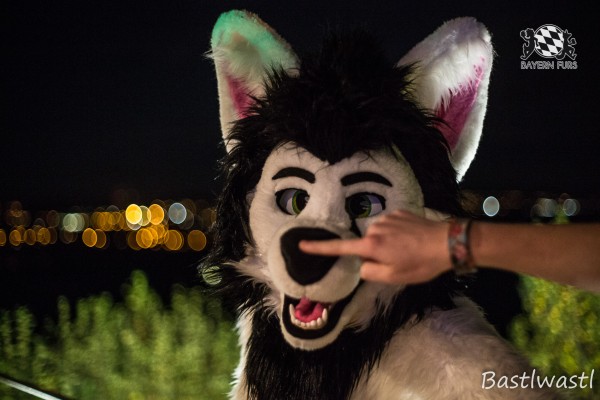 CGC2 0363 von Bastlwastl CGC2 0363 von Bastlwastl