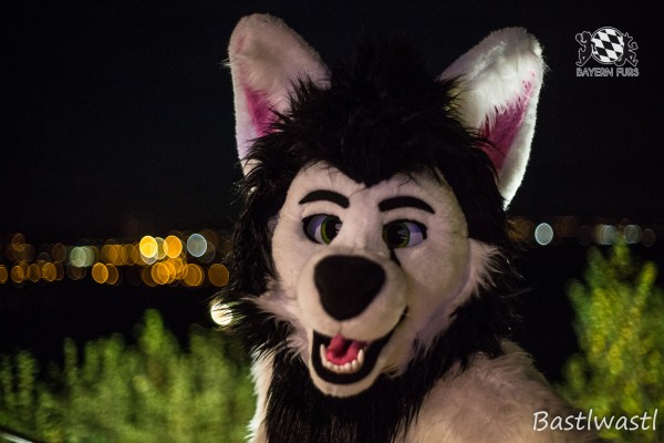 CGC2 0364 von Bastlwastl CGC2 0364 von Bastlwastl