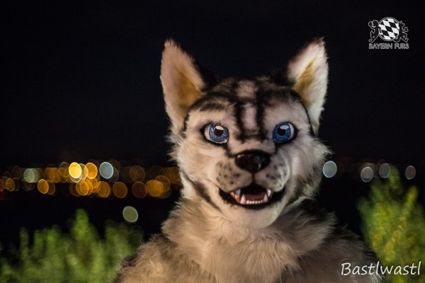 CGC2 0371 von Bastlwastl CGC2 0371 von Bastlwastl