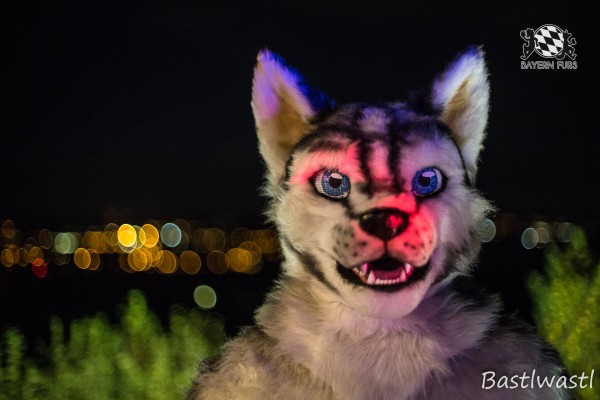 CGC2 0372 von Bastlwastl CGC2 0372 von Bastlwastl