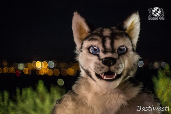 CGC2 0373 von Bastlwastl CGC2 0373 von Bastlwastl