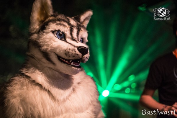 CGC2 0376 von Bastlwastl CGC2 0376 von Bastlwastl