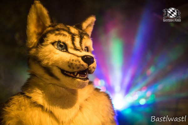 CGC2 0377 von Bastlwastl CGC2 0377 von Bastlwastl