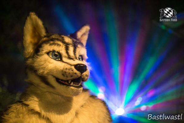 CGC2 0378 von Bastlwastl CGC2 0378 von Bastlwastl