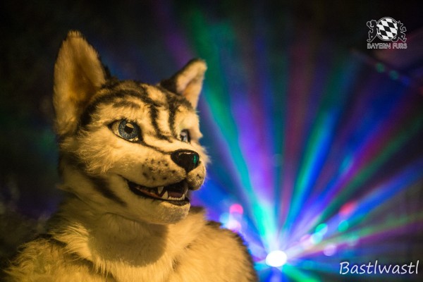 CGC2 0379 von Bastlwastl CGC2 0379 von Bastlwastl