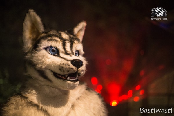 CGC2 0380 von Bastlwastl CGC2 0380 von Bastlwastl