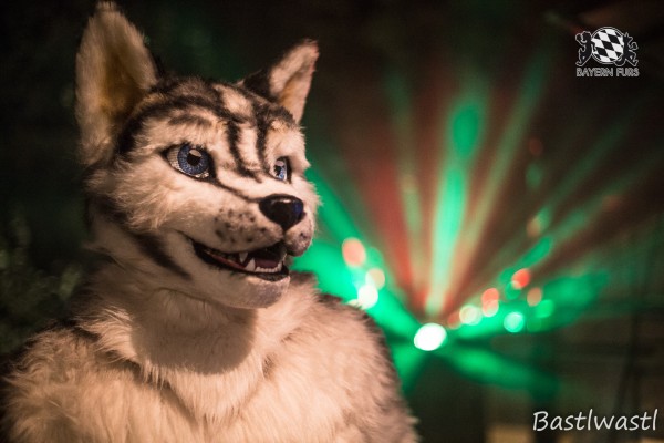 CGC2 0381 von Bastlwastl CGC2 0381 von Bastlwastl