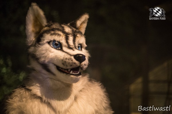 CGC2 0382 von Bastlwastl CGC2 0382 von Bastlwastl