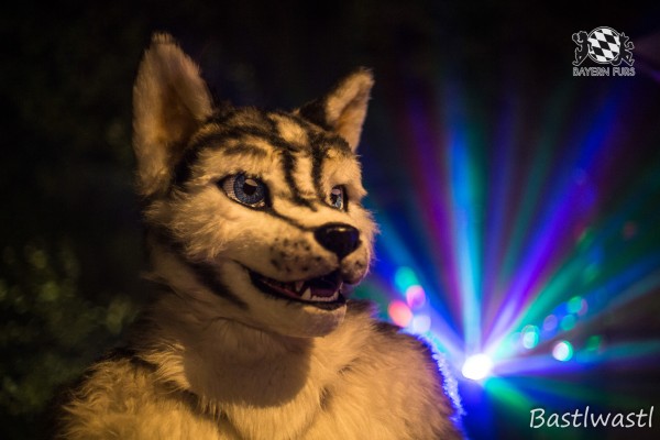 CGC2 0383 von Bastlwastl CGC2 0383 von Bastlwastl