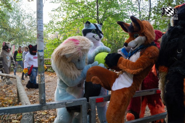 MSW5 102 von Razurac MSW5 102 von Razurac