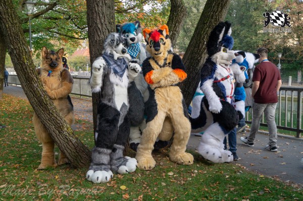 MSW5 107 von Razurac MSW5 107 von Razurac