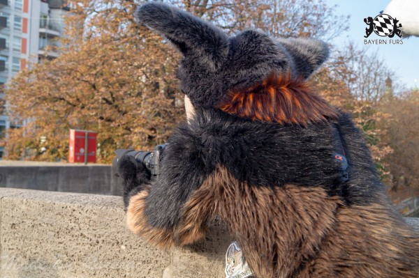 MSW5 111 von Razurac MSW5 111 von Razurac