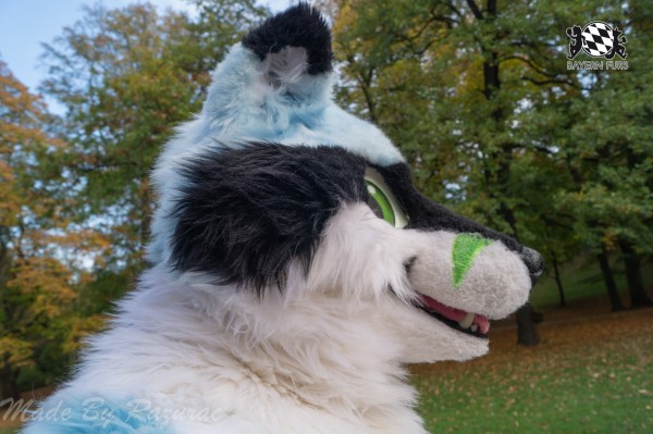 MSW5 112 von Razurac MSW5 112 von Razurac