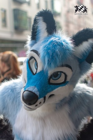 MSW5 122 von RyuxWolf MSW5 122 von RyuxWolf