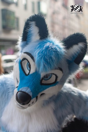 MSW5 123 von RyuxWolf MSW5 123 von RyuxWolf