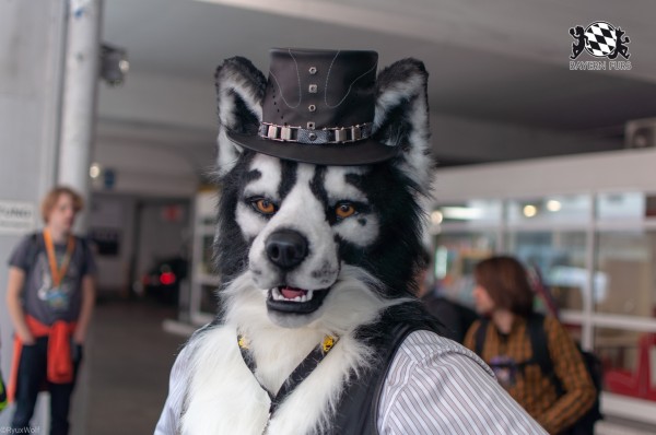 MSW5 127 von RyuxWolf MSW5 127 von RyuxWolf