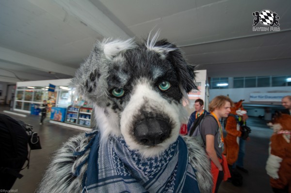 MSW5 129 von RyuxWolf MSW5 129 von RyuxWolf