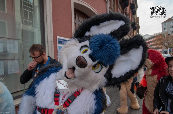 MSW5 140 von RyuxWolf MSW5 140 von RyuxWolf