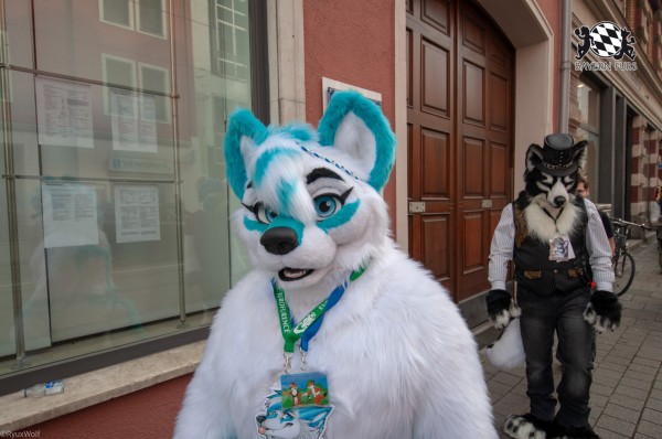 MSW5 141 von RyuxWolf MSW5 141 von RyuxWolf