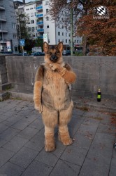 MSW5 147 von RyuxWolf MSW5 147 von RyuxWolf