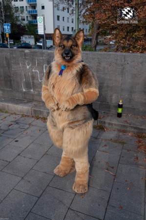 MSW5 148 von RyuxWolf MSW5 148 von RyuxWolf