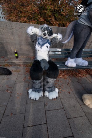 MSW5 149 von RyuxWolf MSW5 149 von RyuxWolf